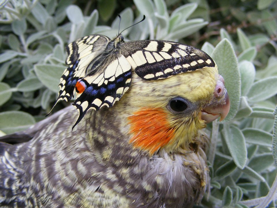 You are currently viewing חווות החוויות החווייתיות