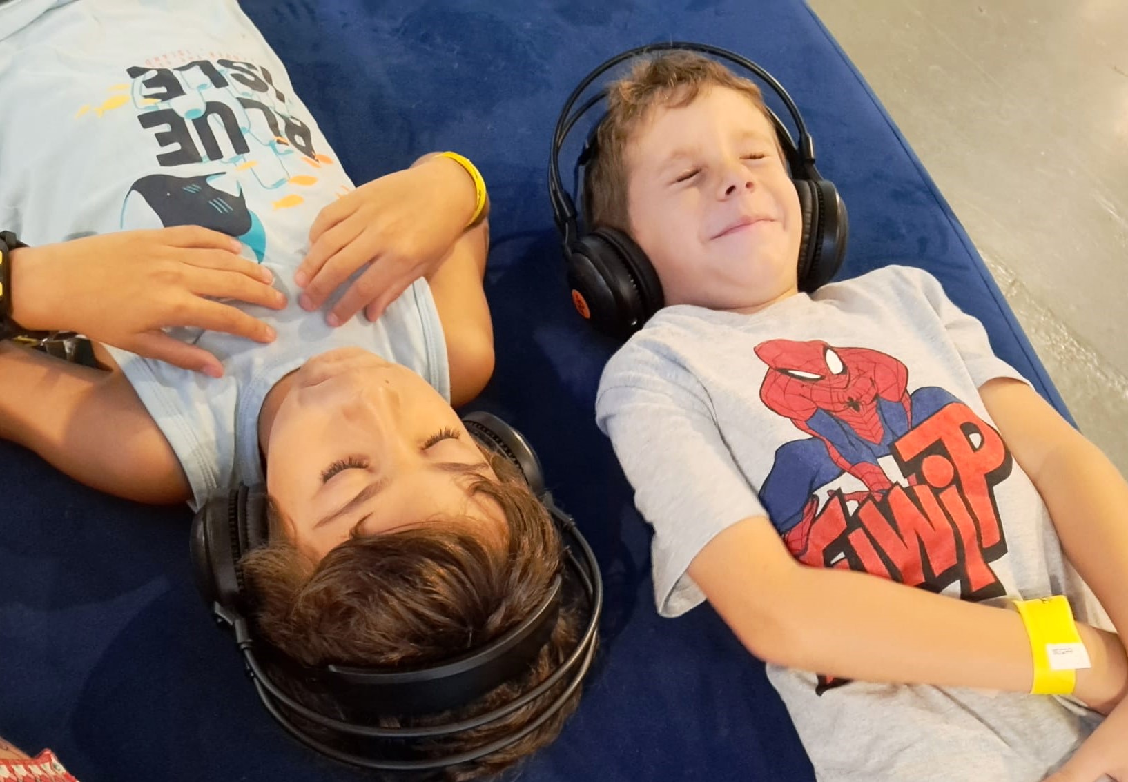 You are currently viewing ים יבשה, מסעה של כונכיה